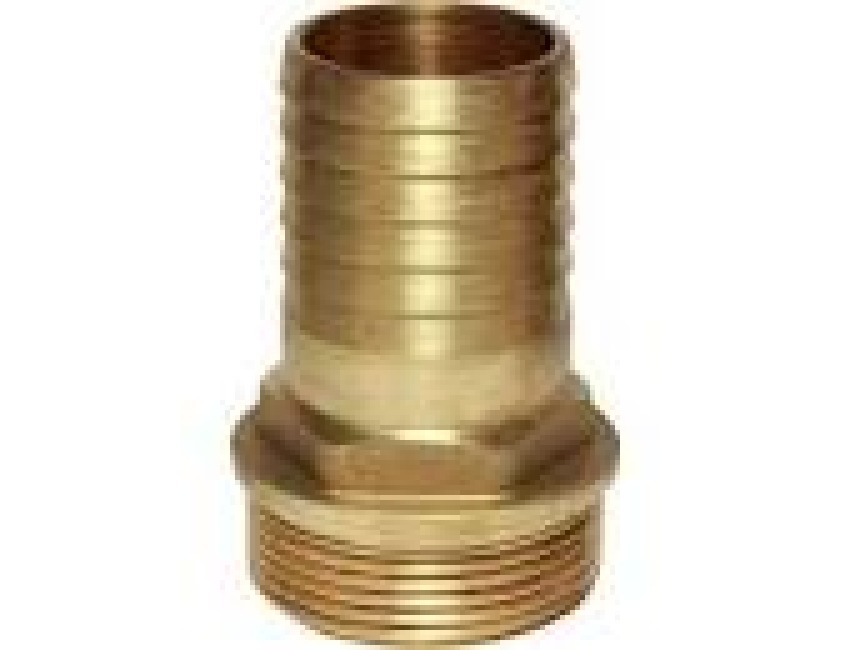 Maestrini Brass Straight Hose Tail 11/4" BSPT Male to 38mm Hose